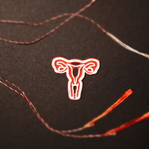 Martisor Printat 3D – Sistem Reproductiv Feminin
